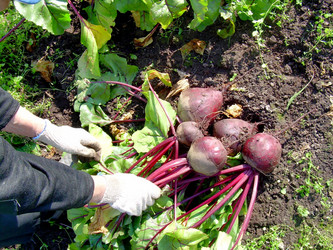 Similar image 21953727