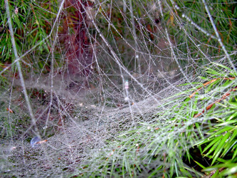 Similar image 21953729