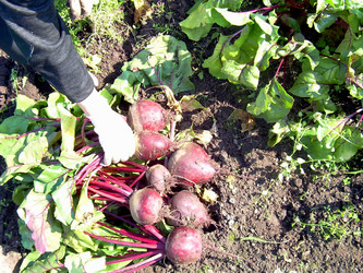 Similar image 21953730