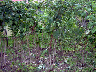 Similar image 21953732