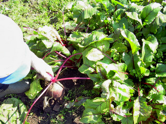 Similar image 21953733