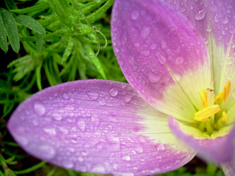 Similar image 21953737