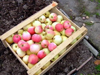 Similar image 21953738