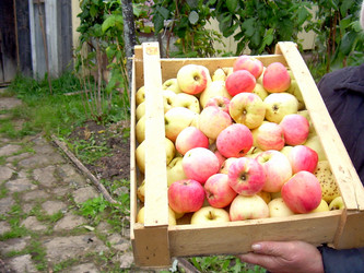 Similar image 21953739