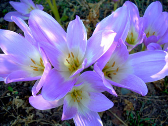 Similar image 21953742