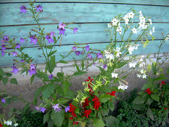 Similar image 21953744