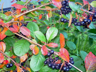 Similar image 21953745