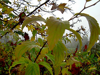 Similar image 21953746