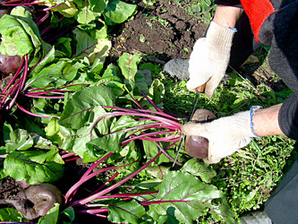 Similar image 21953748