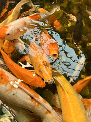 Similar image 21953306