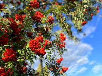 Similar image 21953307