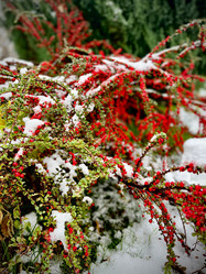 Similar image 21953309