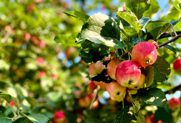 Similar image 21953310