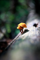 Similar image 21953317