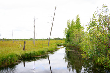 Similar image 21953319