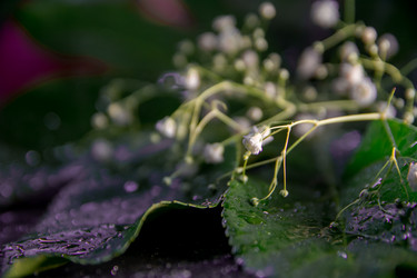 Similar image 21954984