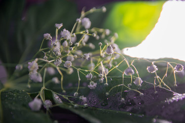 Similar image 21954985