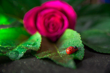 Similar image 21954986