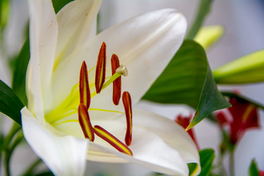 Similar image 21954991