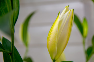 Similar image 21954992