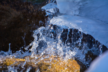 Similar image 21954993