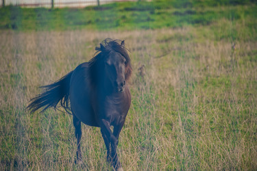 Similar image 21954994