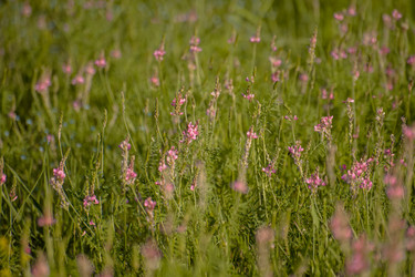 Similar image 21954996