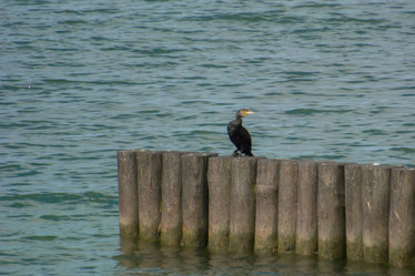 Similar image 21955005