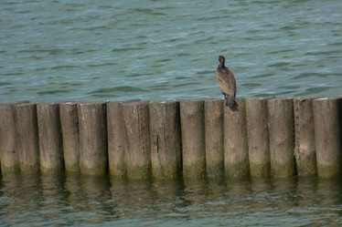 Similar image 21955006