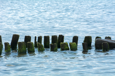 Similar image 21955009