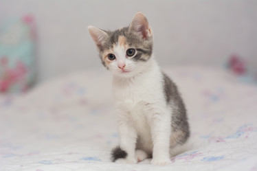 Similar image 21955012