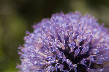 Similar image 21955018