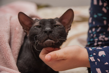 Similar image 21955019