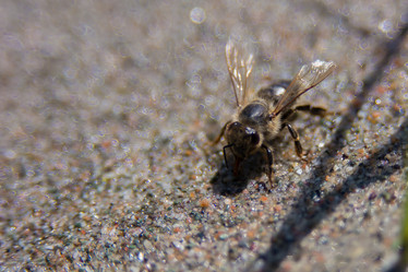 Similar image 21955021