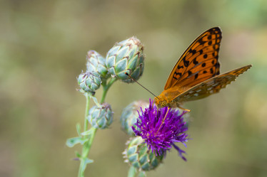 Similar image 21955022