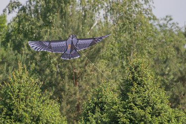 Similar image 21955024