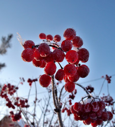 Similar image 21953516