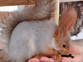 Similar image 21953517