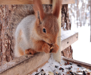 Similar image 21953518