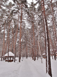 Similar image 21953520