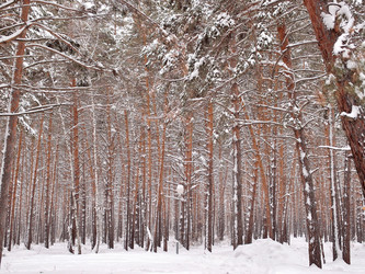 Similar image 21953521