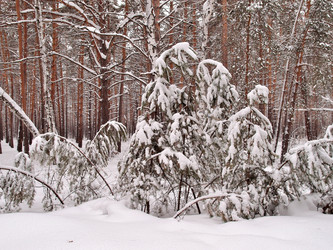 Similar image 21953522