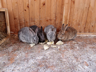 Similar image 21953524