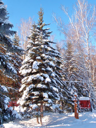 Similar image 21953525