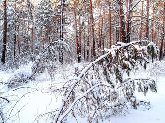 Similar image 21953527