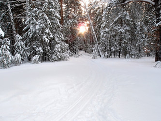 Similar image 21953528