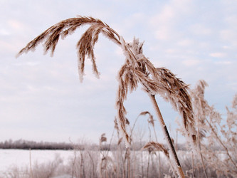 Similar image 21953533