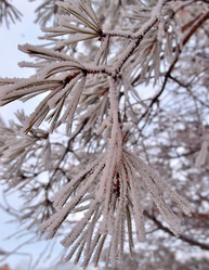 Similar image 21953535