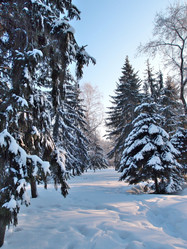 Similar image 21953536