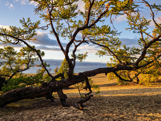 Similar image 21953325